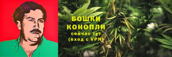 прущие крисы Беломорск