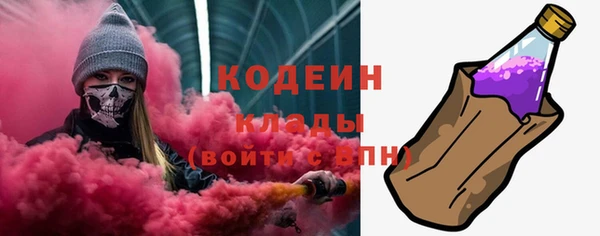 индика Балабаново